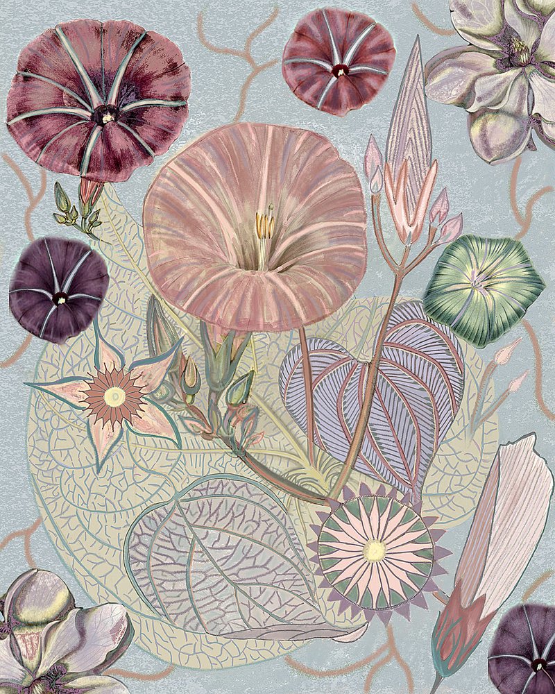 Zarte Morgenröte von giovanna nicolo