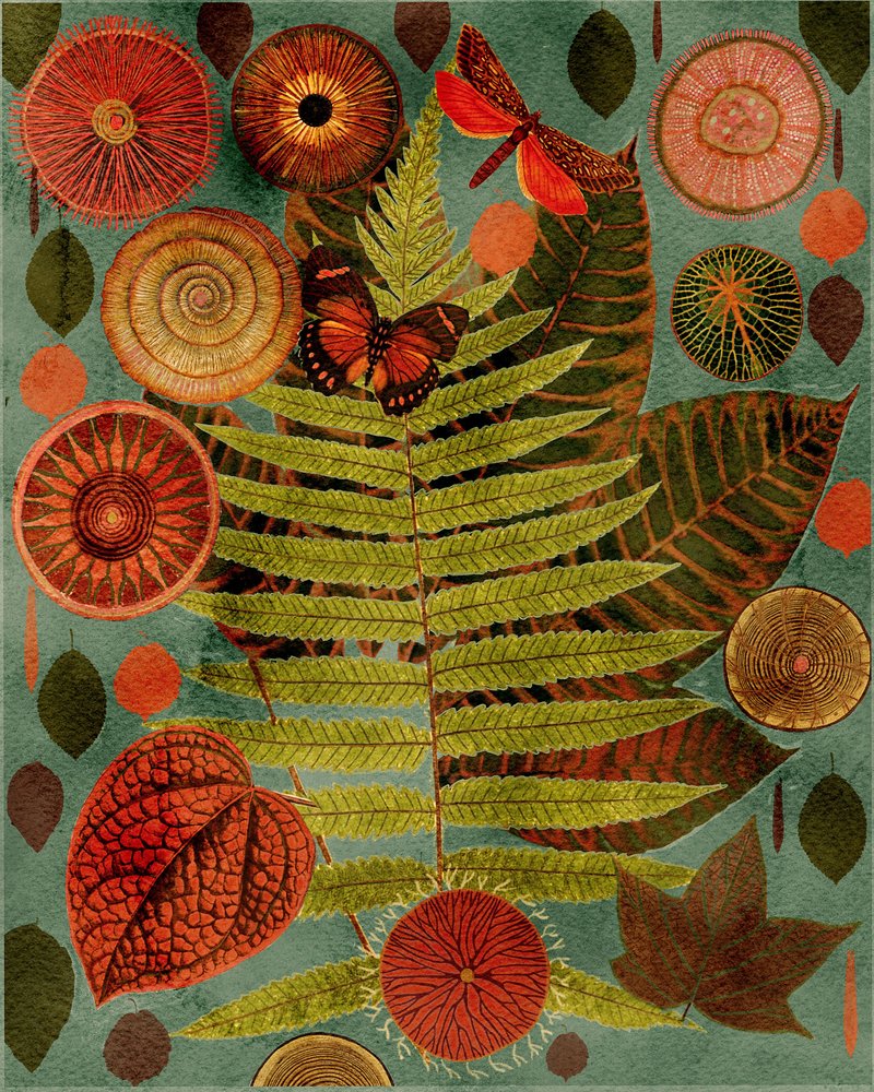 Waldfarn und Schmetterling von giovanna nicolo