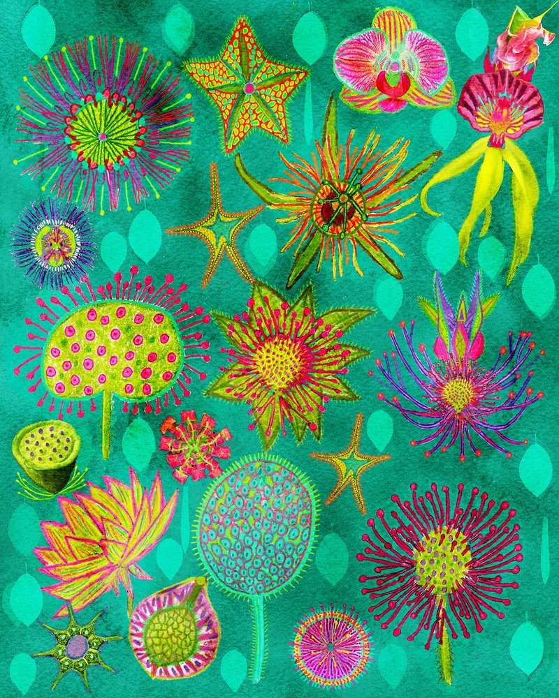 Lebendiger Botanischer Garten von giovanna nicolo