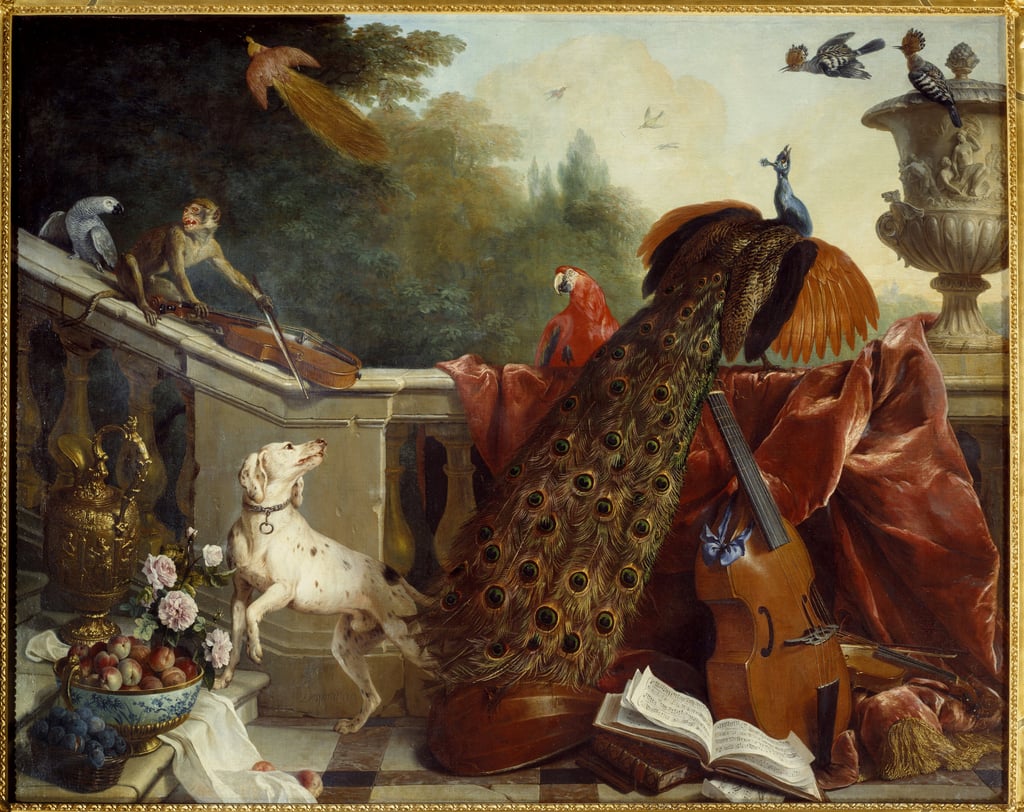 Alexandre_Francois_Desportes_-_Animals_flowers_and_fruits_A_dog_a_monkey_playing_the_violin_a_peacock_a_parrot_-_%28MeisterDrucke-970343%29.jpg