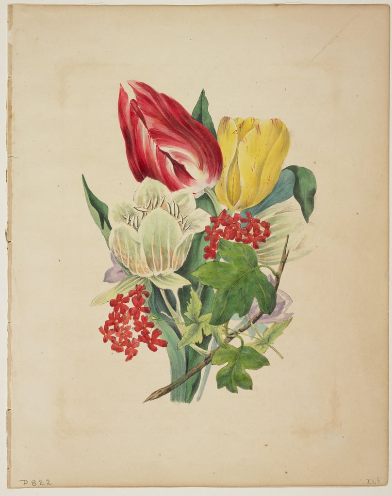 E_W_Wirt_-_Bouquet_of_Tulips_from_Floras_Dictionary_1838_-_%28MeisterDrucke-316421%29.jpg