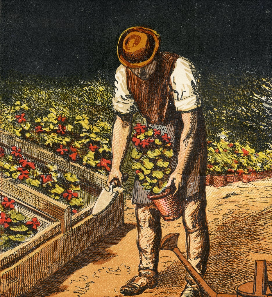 Der Gärtner, 1867 von English School (449860)