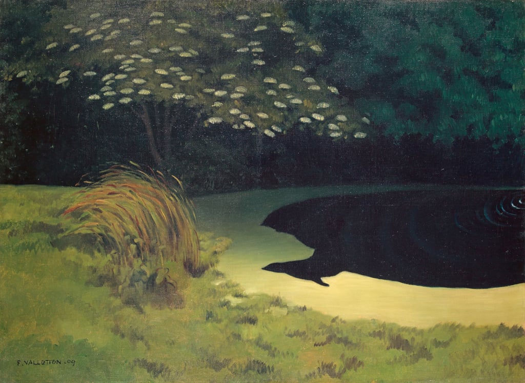 Der Teich von Felix Edouard Vallotton Kunstdruck kaufen