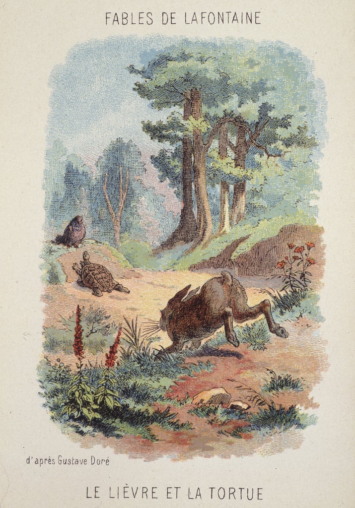 Fabeln von La Fontaine Der Hase und die Schildkröte n... (917761)