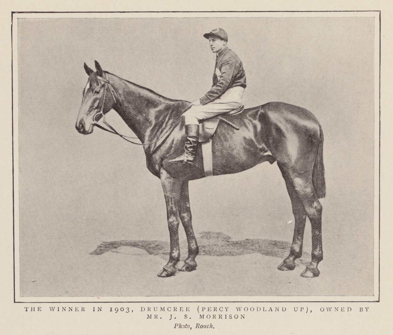 Drumcree, Gewinner des Grand National 1903 von (after) English photographer