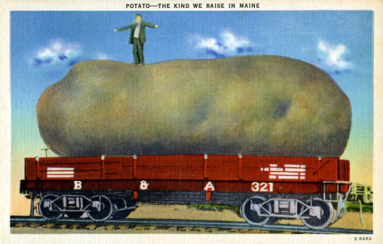 Vintage-Übertreibungspostkarte ca. 1940 von Unknown