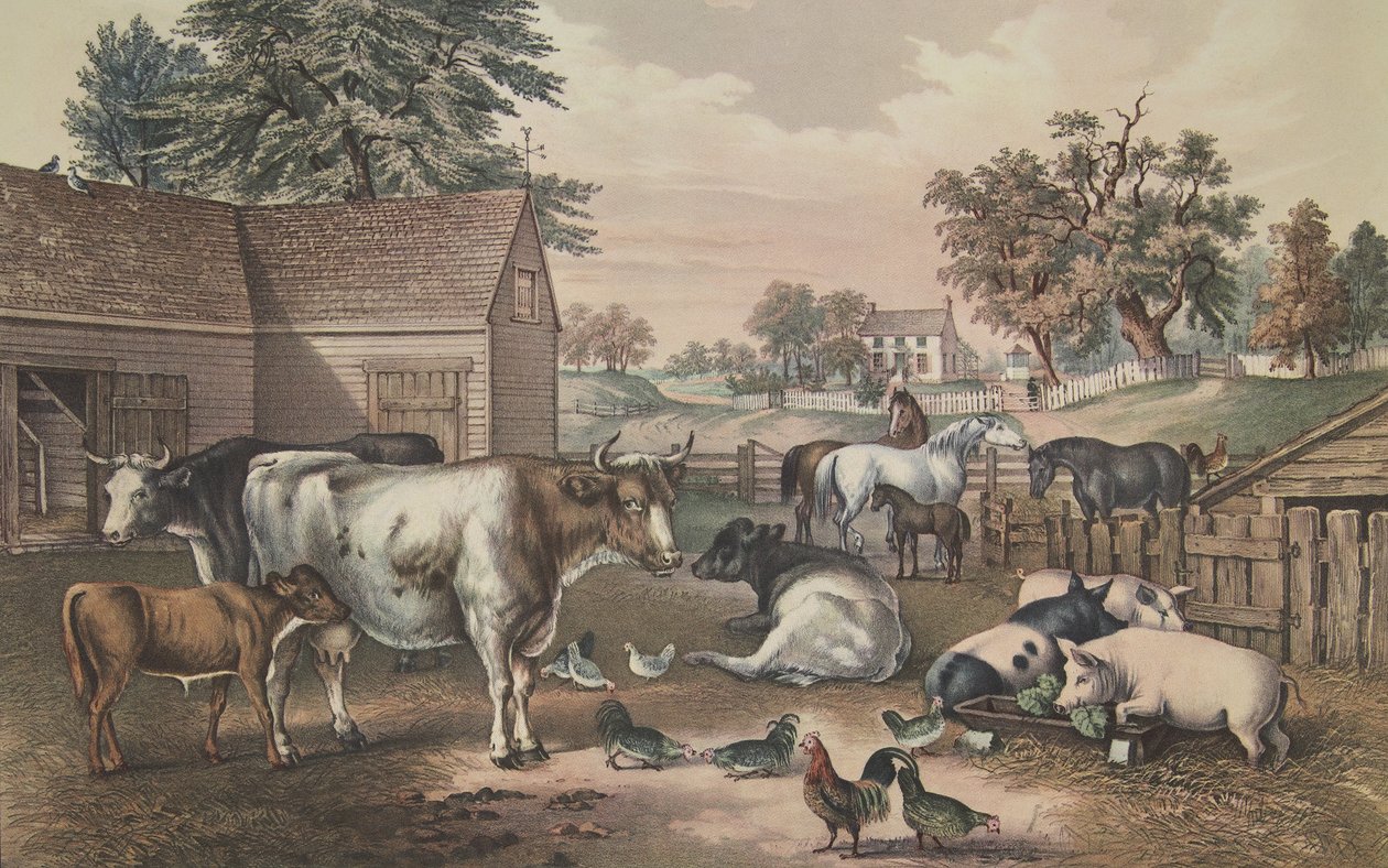 Amerikanischer Bauernhof - Abend von American School