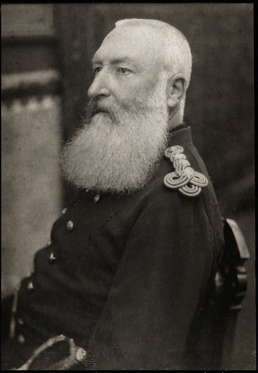 Porträt von Leopold II. (1835-1909), König von Belgien von French Photographer