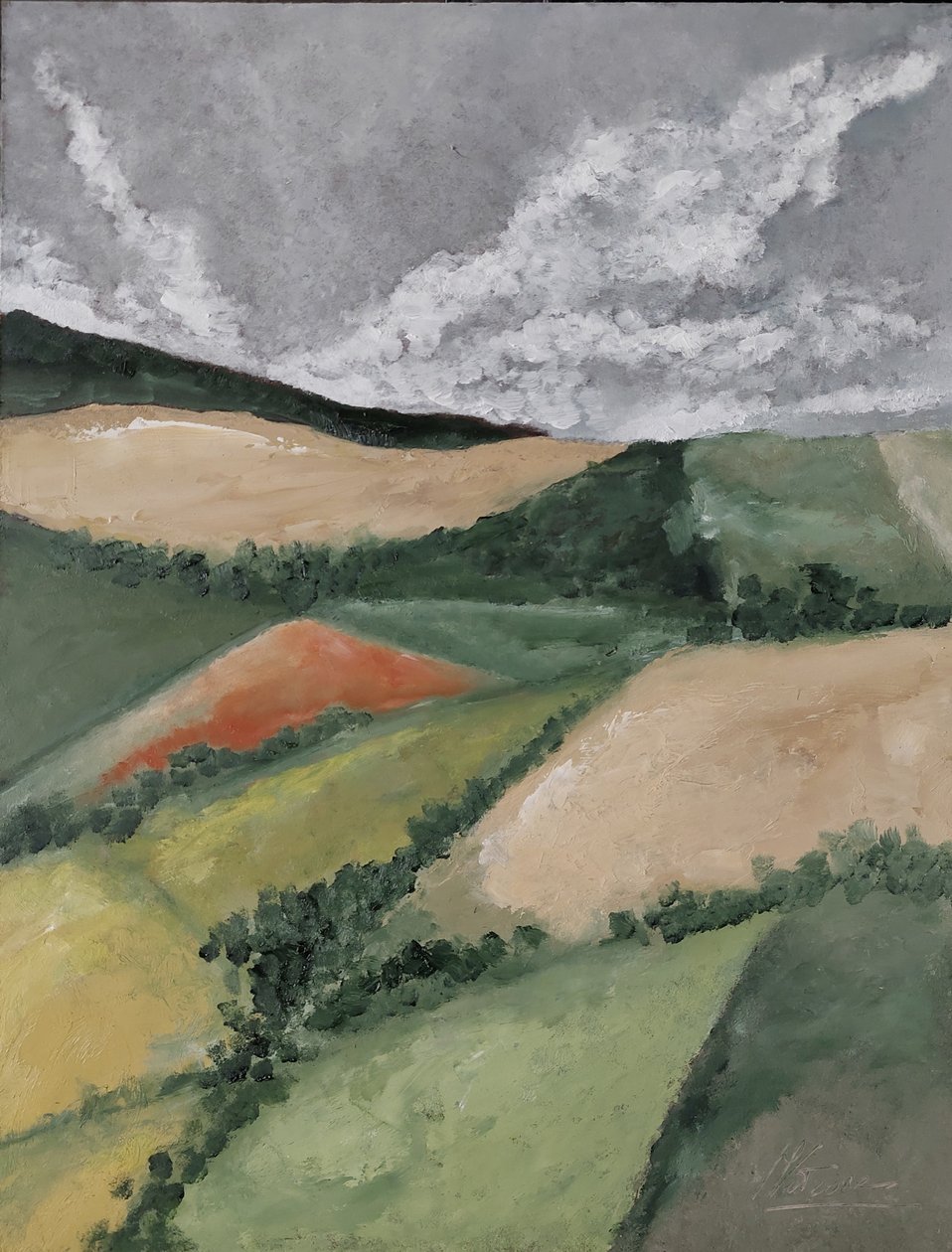 Mohnfeld von M. Vet