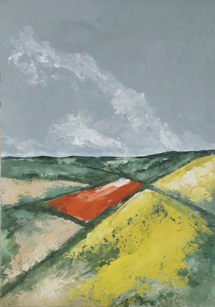 Felder mit gelben Blumen von M. Vet