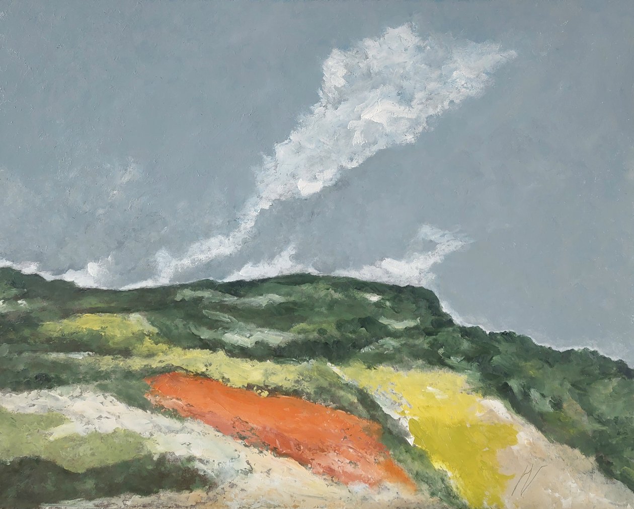 Hügel und Blumenfelder von M. Vet