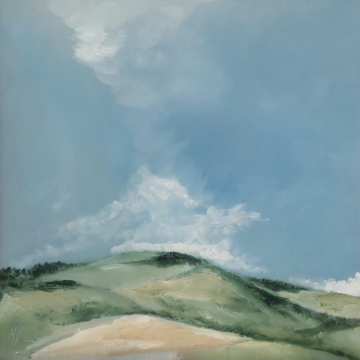 Flacher Hügel von M. Vet