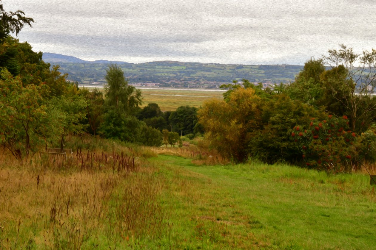 Natur Landschaft von Albert Mansour
