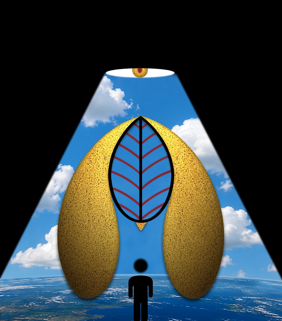 Das blaue Wunder (aus der Serie Lichtung) von Alexander Eibach