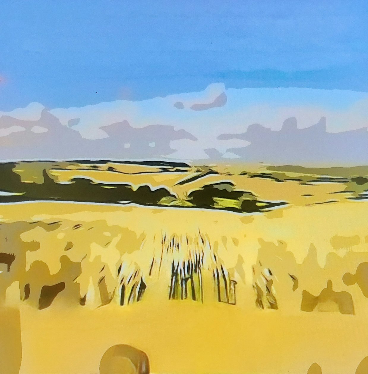 Digitale Landschaft 15 von M. Vet