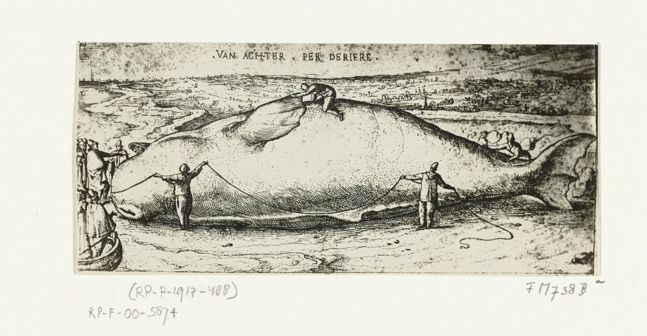 Druck des gestrandeten Wals bei Antwerpen, 2. Juli 1577 von A.B. van Deinse