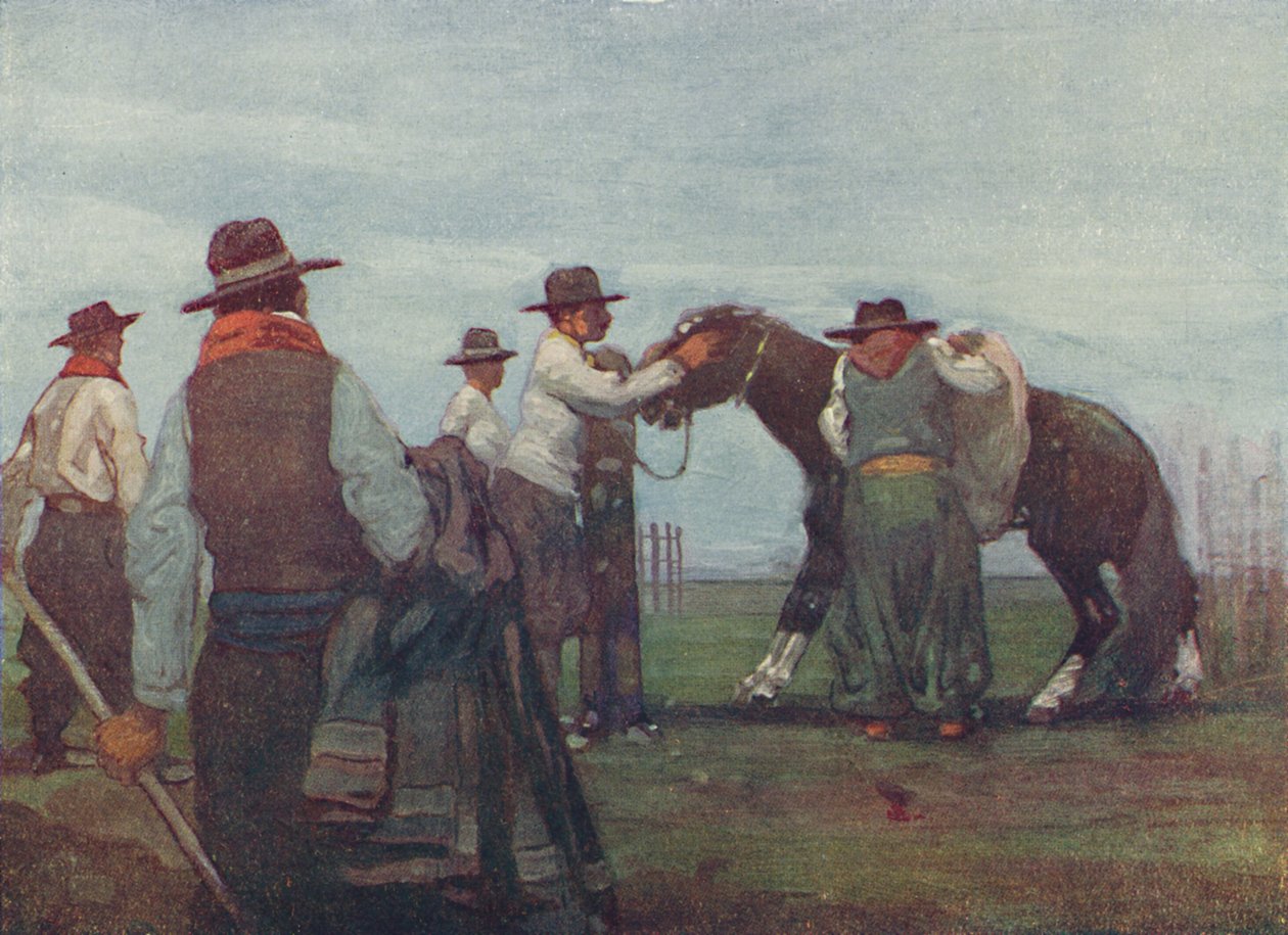 Gauchos brechen ein junges Pferd, 1916 von A. S. Forrest