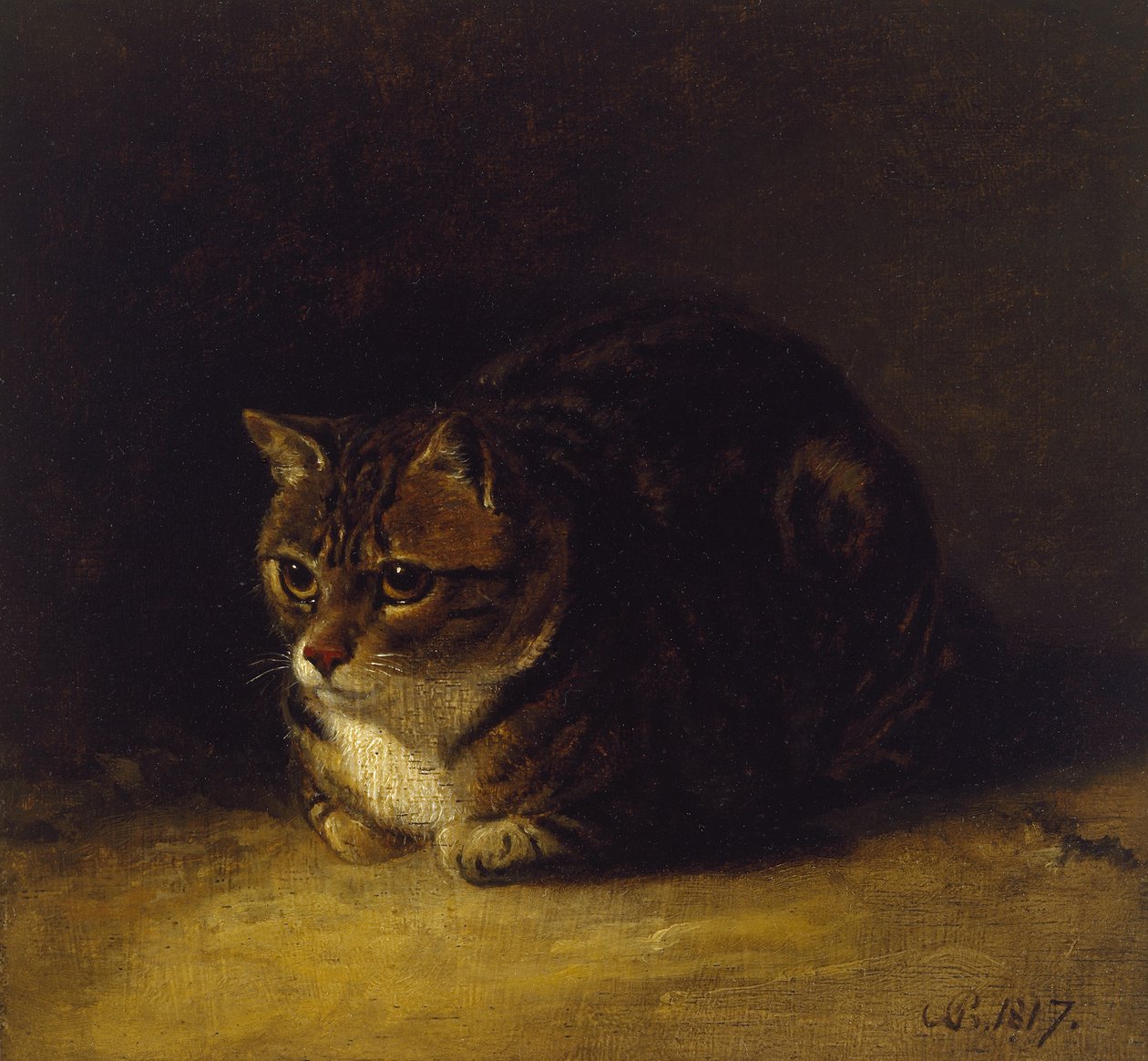 Studie einer Katze, 1817 von Abraham Cooper
