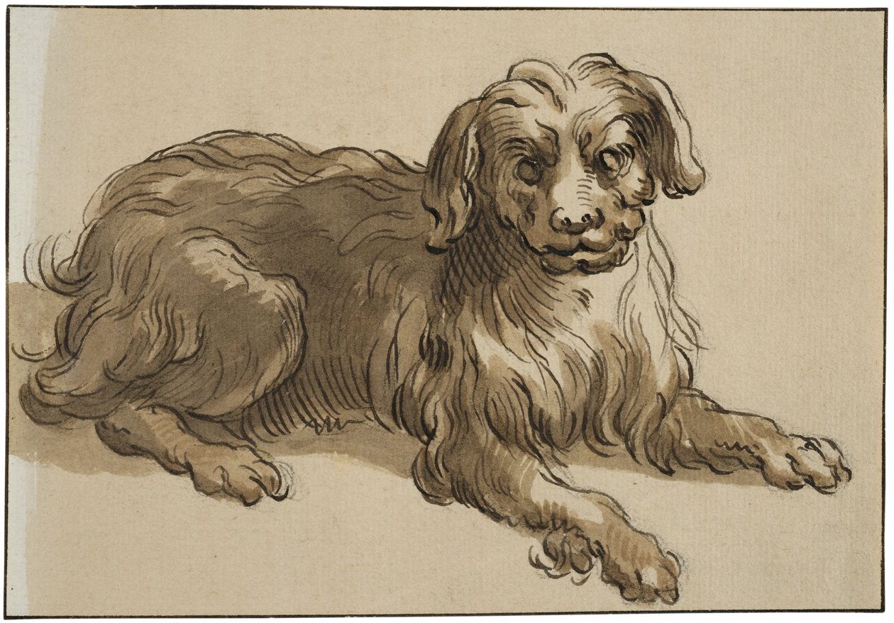 Langhaariger Hund von Abraham Bloemaert