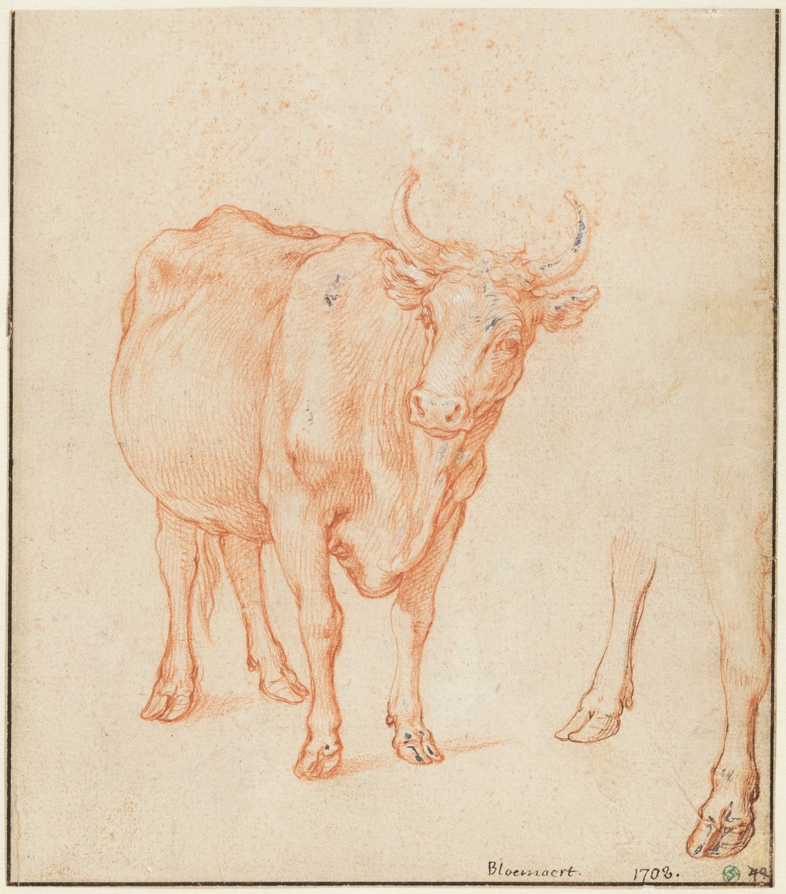 Studien einer Kuh von Abraham Bloemaert