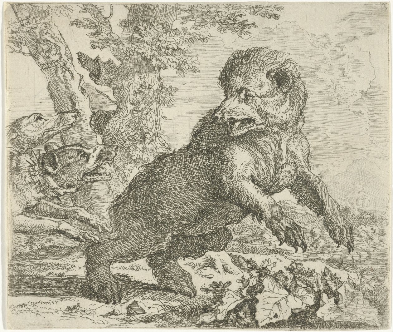 Bär von Hunden angegriffen von Abraham Danielsz. Hondius