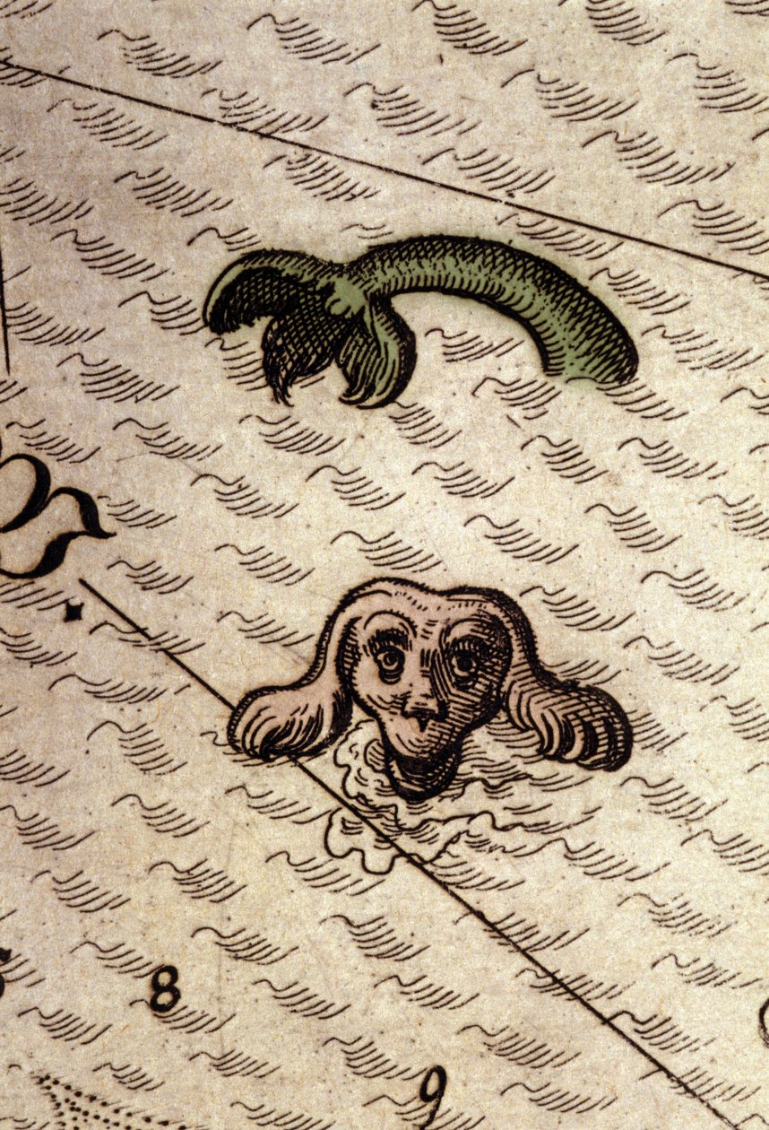 Ein Meeresmonster mit Hundekopf und Fischkörper. (Detail) einer Karte in „Theatrum Orbis Terrarum“ von Abraham Ortelius, Antwerpen 1584. von Abraham Ortelius