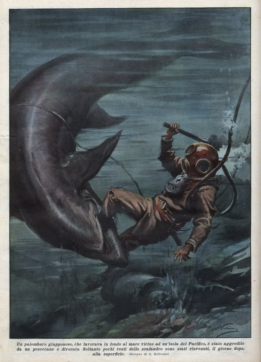 Ein japanischer Taucher mit einem Skaphander wurde im Pazifischen Ozean von einem Hai verschlungen. Illustration von Achille Beltrame aus „La domenica del corriere“ vom 08.08.1937. von Achille Beltrame
