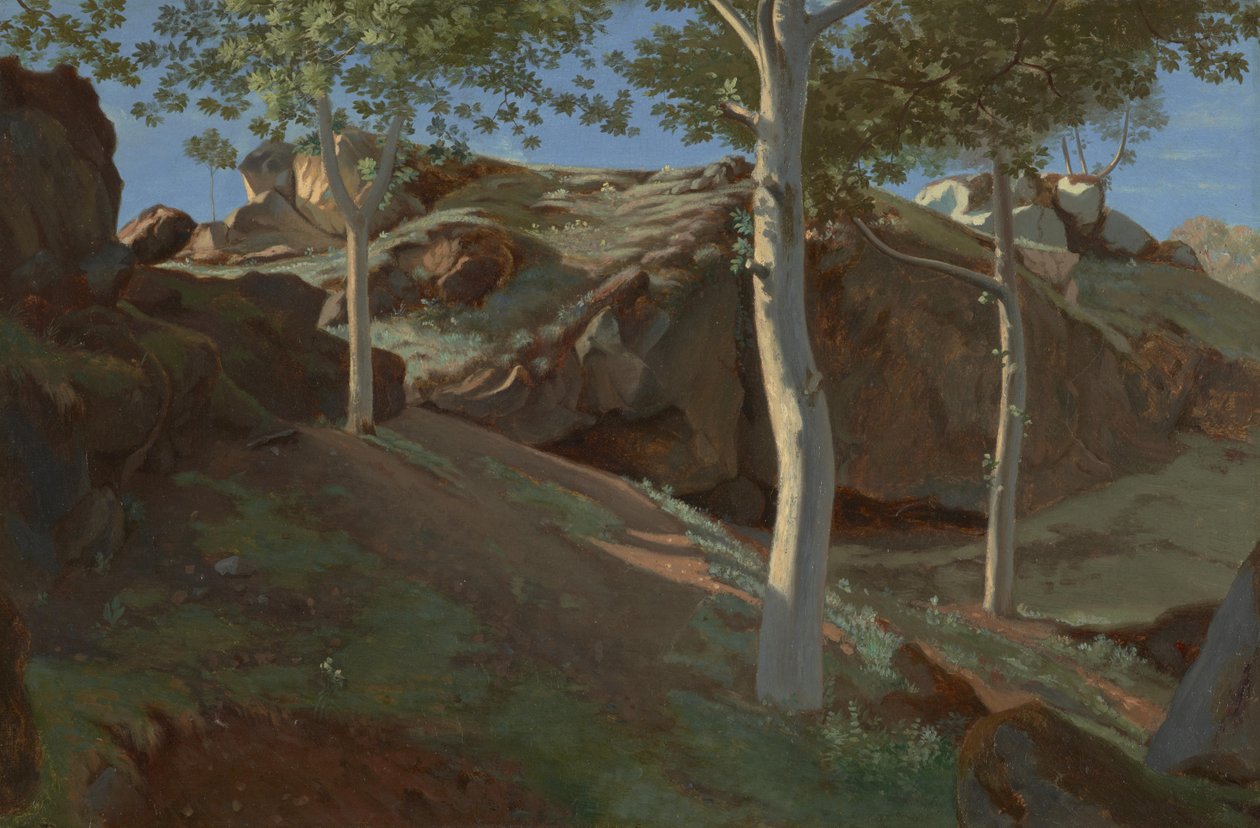 Birken auf einem felsigen Abhang: Fontainebleau von Achille Etna Michallon