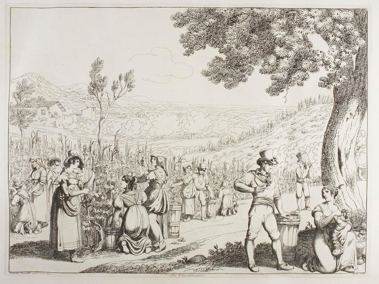 Die Weinlese von Achille Pinelli