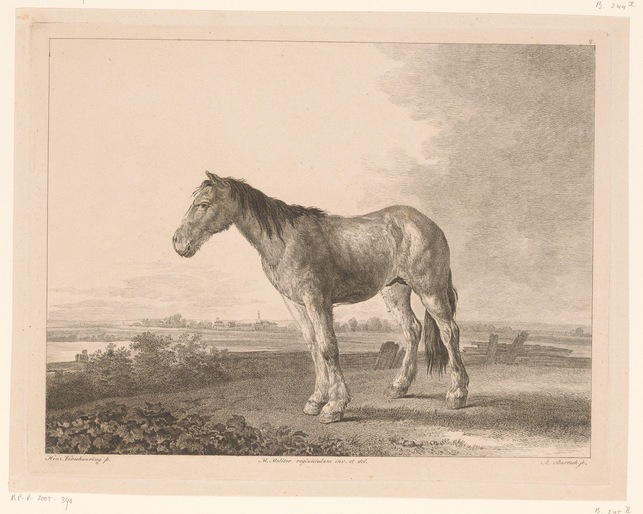 Stehendes Pferd in einer Flusslandschaft von Adam von Bartsch