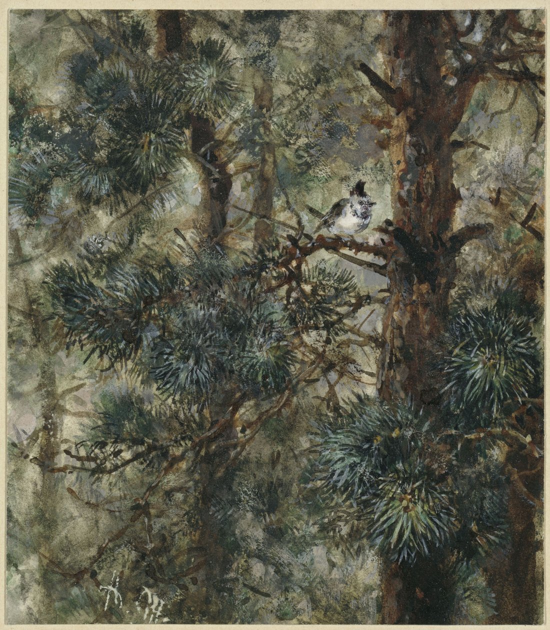 Die Haubenmeise im Kieferngeäst. Aus dem "Kinderalbum" von Adolph Menzel
