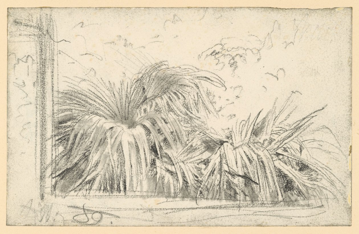 Palmzweig im Fensterrahmen von Adolph Menzel