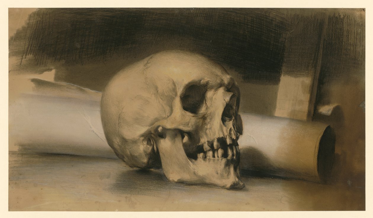 Menschlicher Schädel nach rechts, dahinter Papierrolle von Adolph Menzel