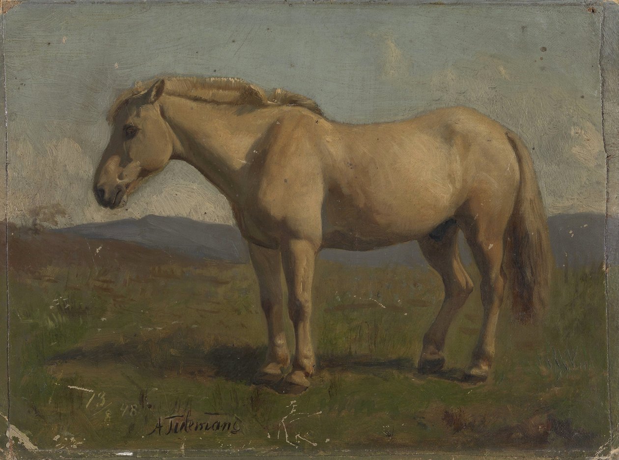 Ein Falbfarbener von Adolph Tidemand