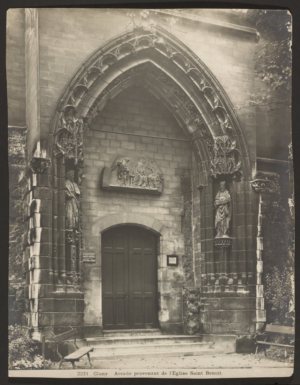 Cluney von Adolphe Braun