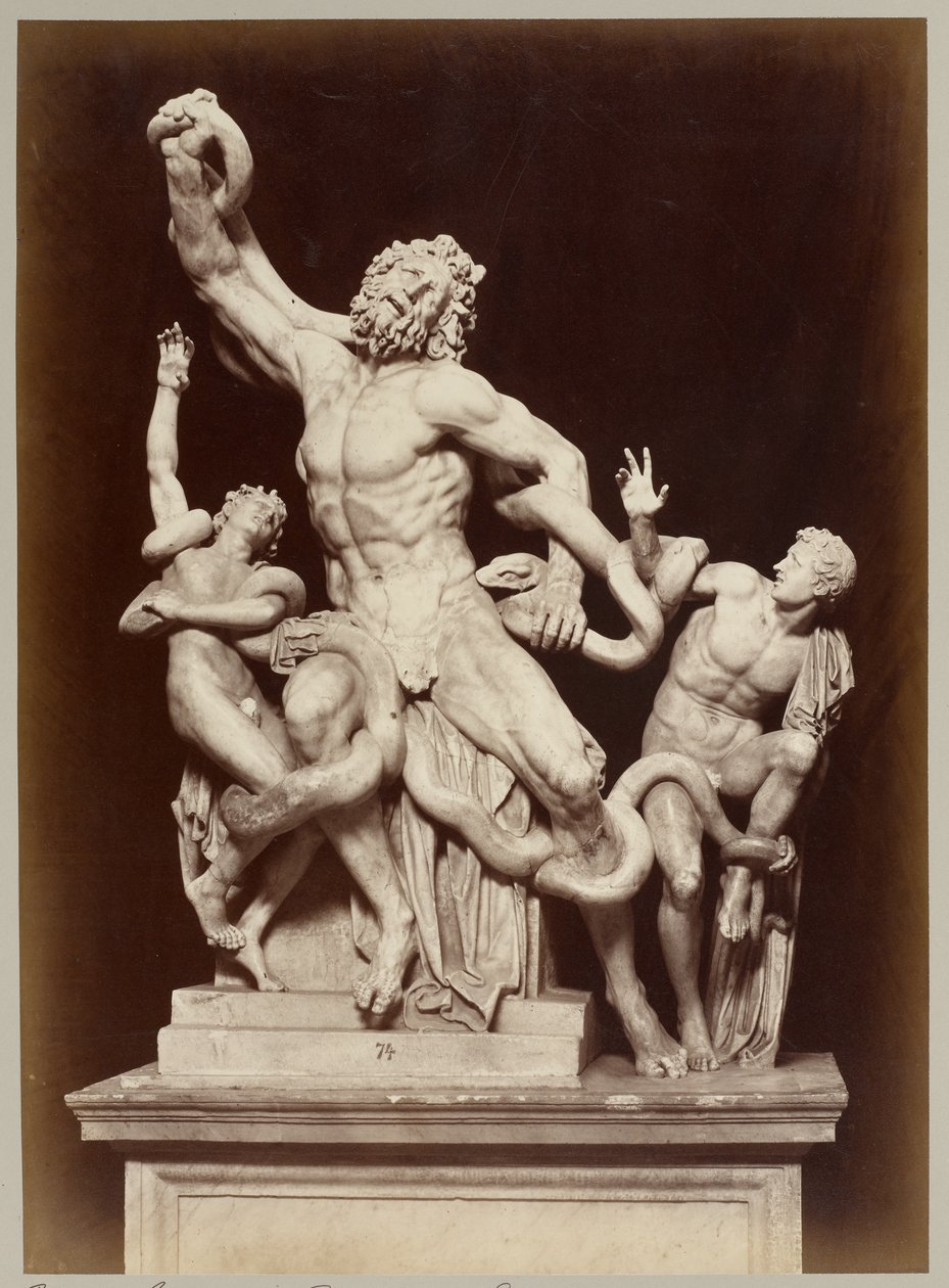 Der Laokoon im Vatikanischen Museum von Adolphe Braun