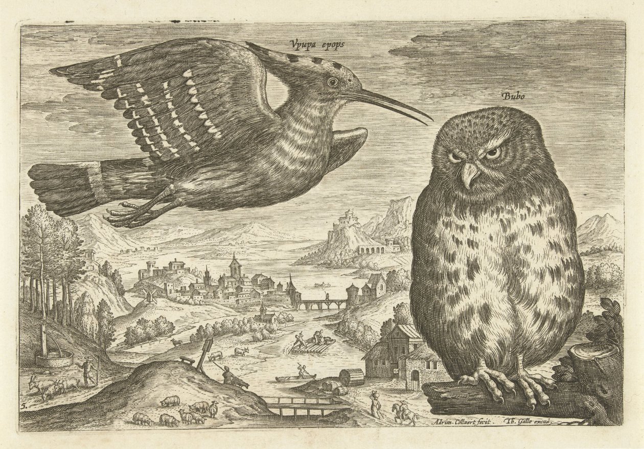 Einige Vögel in einer Landschaft von Adriaen Collaert