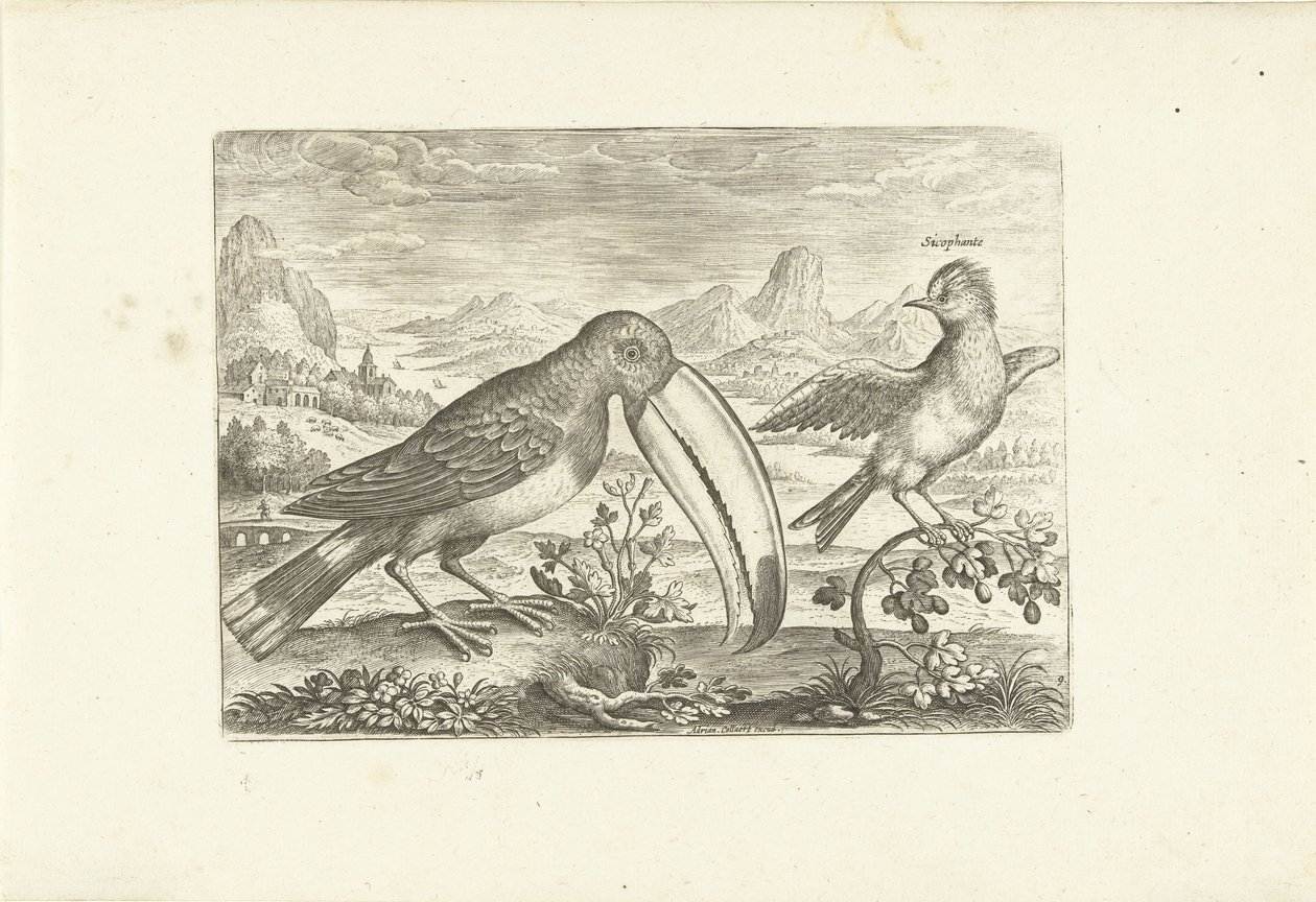 Zwei exotische Vögel in einer Landschaft (Vögel, Avivm vivae) von Adriaen Collaert
