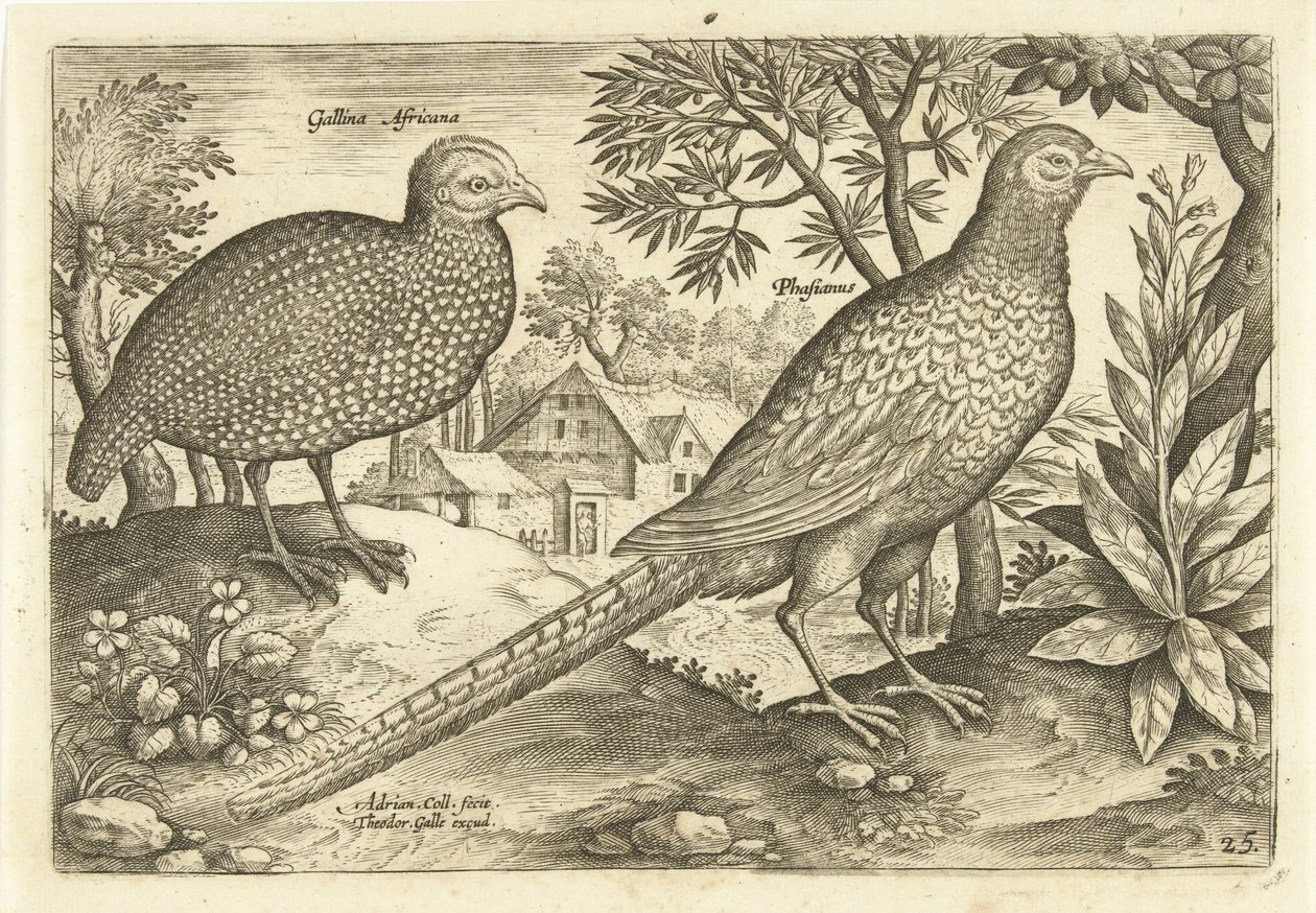 Twee hoenders in een landschap von Adriaen Collaert