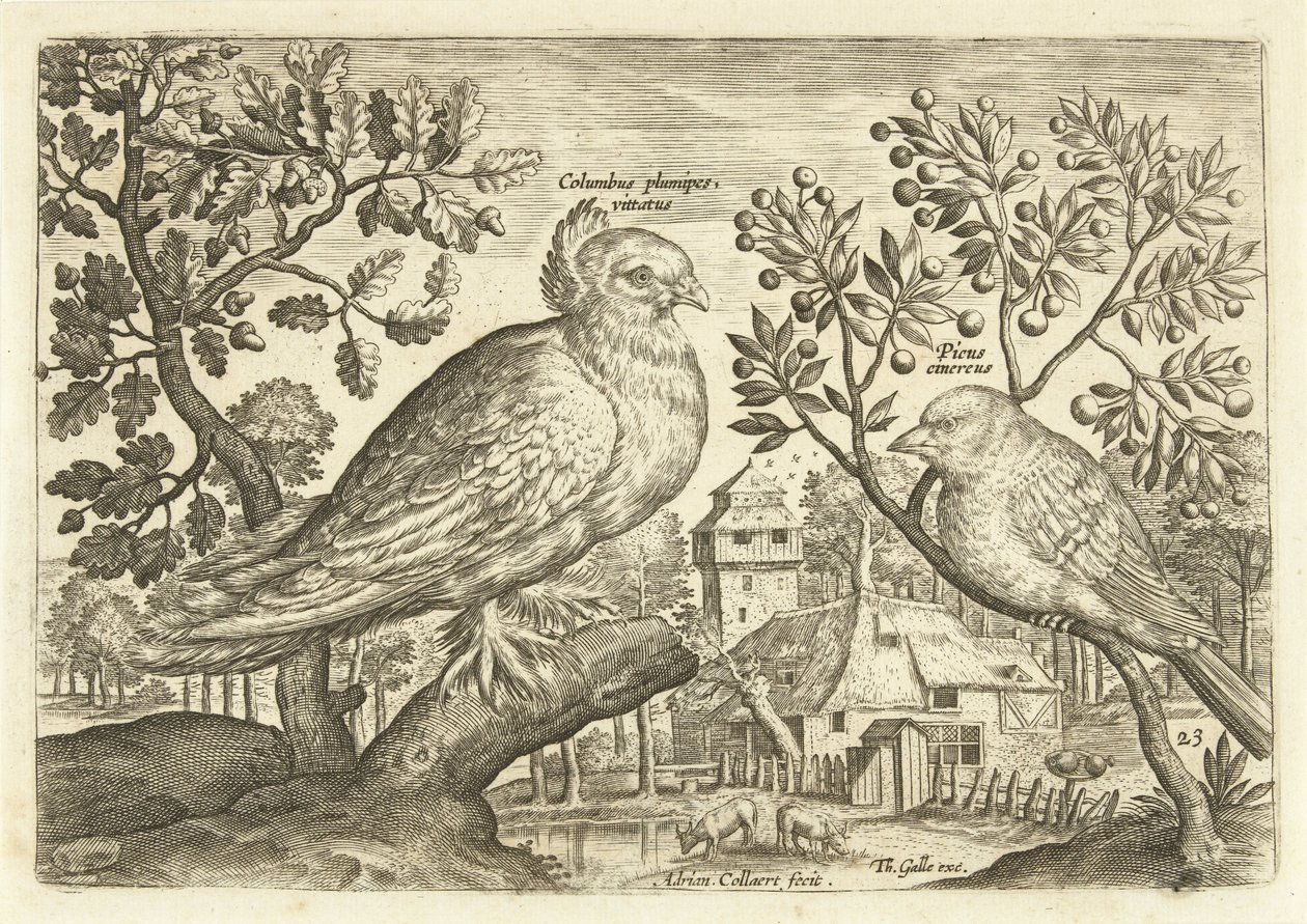 Zwei Vögel in einer Landschaft von Adriaen Collaert