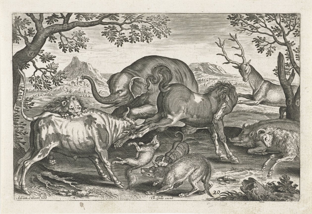Kämpfende Tiere
Vierbeinige Tiere (Serientitel)
Animalivm Qvaddrvpedvm (Serientitel) von Adriaen Collaert