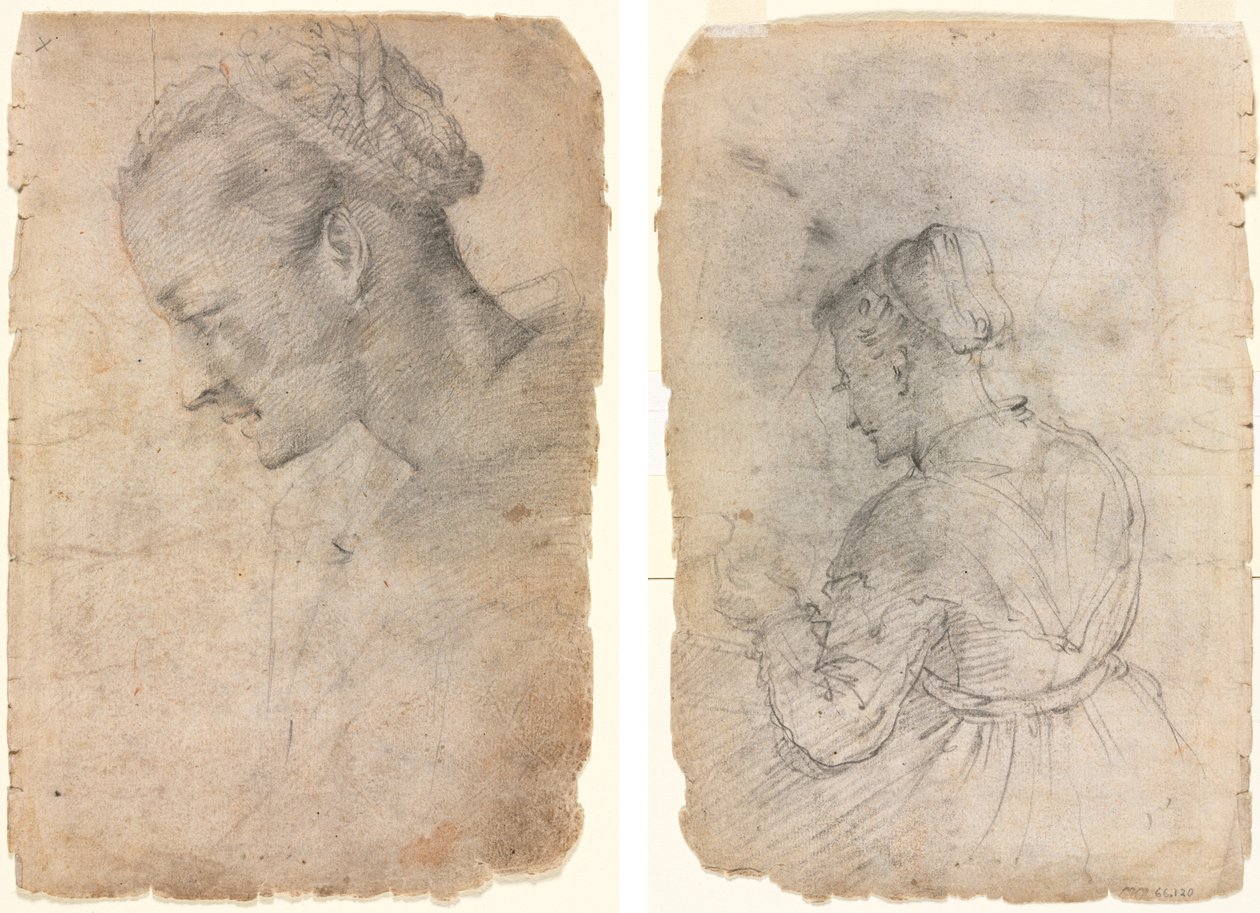 Profil eines Frauenkopfes (recto) Eine Küchenmagd (verso) von Adriaen van de Velde