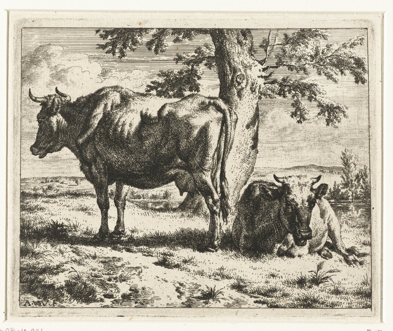 Zwei Kühe unter einem Baum von Adriaen van de Velde