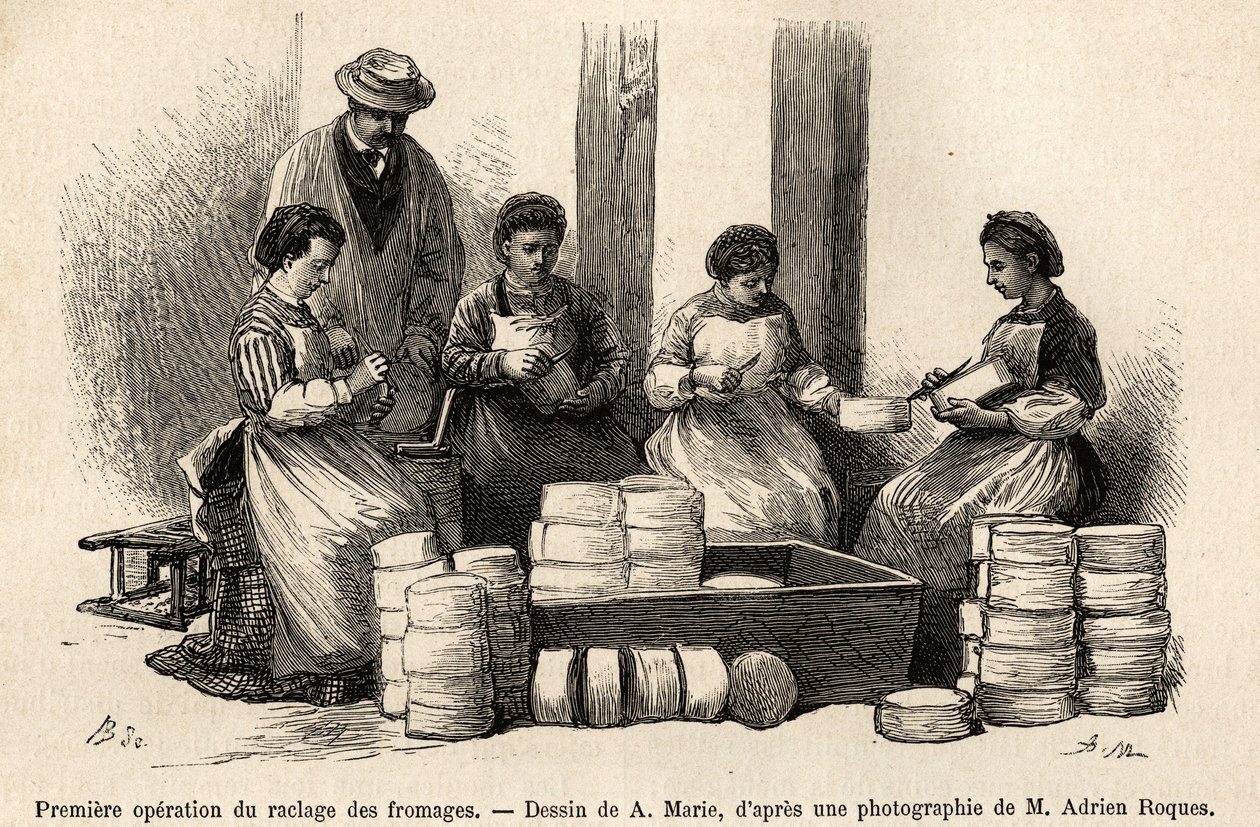 Die erste Operation des Käseabschabens, acht Tage nach der Kellerei, der Flaum, der auf der Oberfläche des Käses gewachsen ist, wird entfernt, um einen besseren Kontakt mit der frischen Luft des Kellers zu ermöglichen, das Entfernte wird verwendet, um das  von Adrien Emmanuel Marie