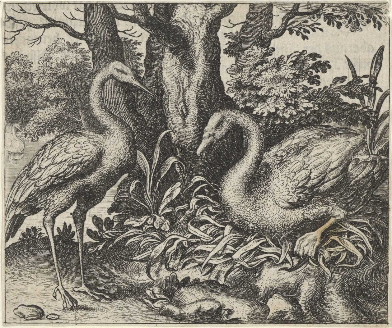 Fabel vom Schwan und dem Storch von Egidius  Sadeler (II)