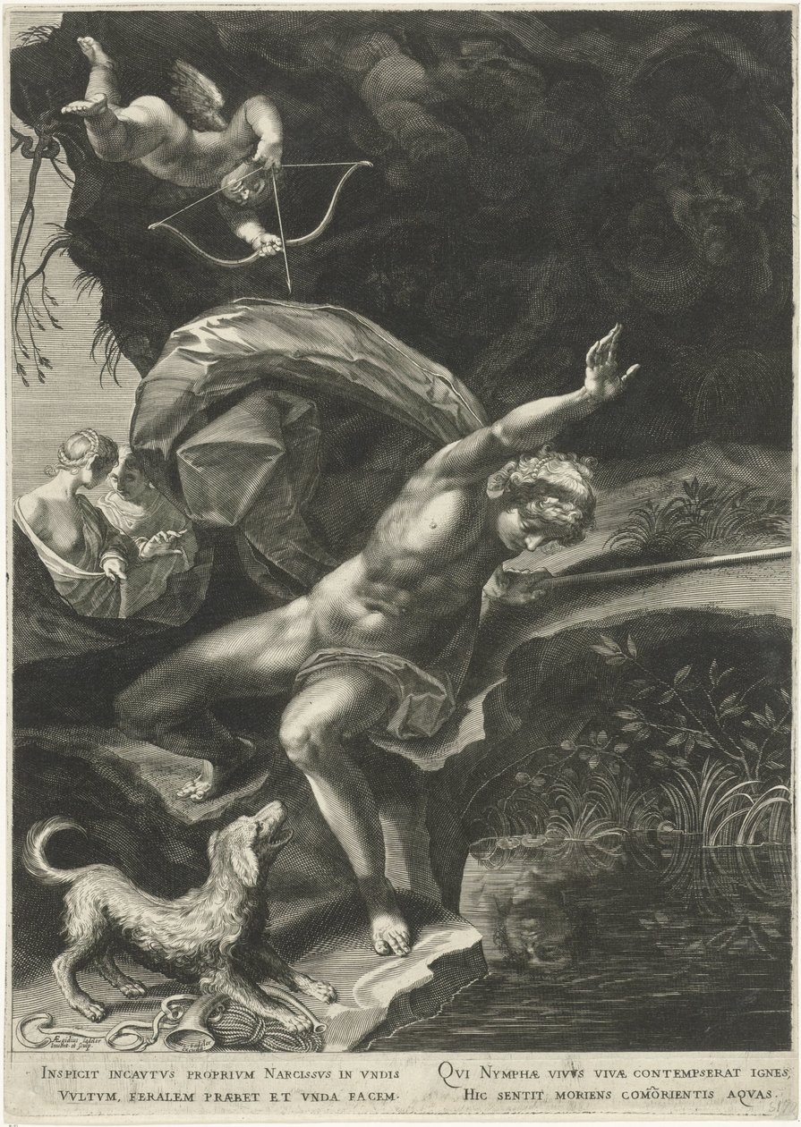 Narziss an der Quelle von Egidius  Sadeler (II)