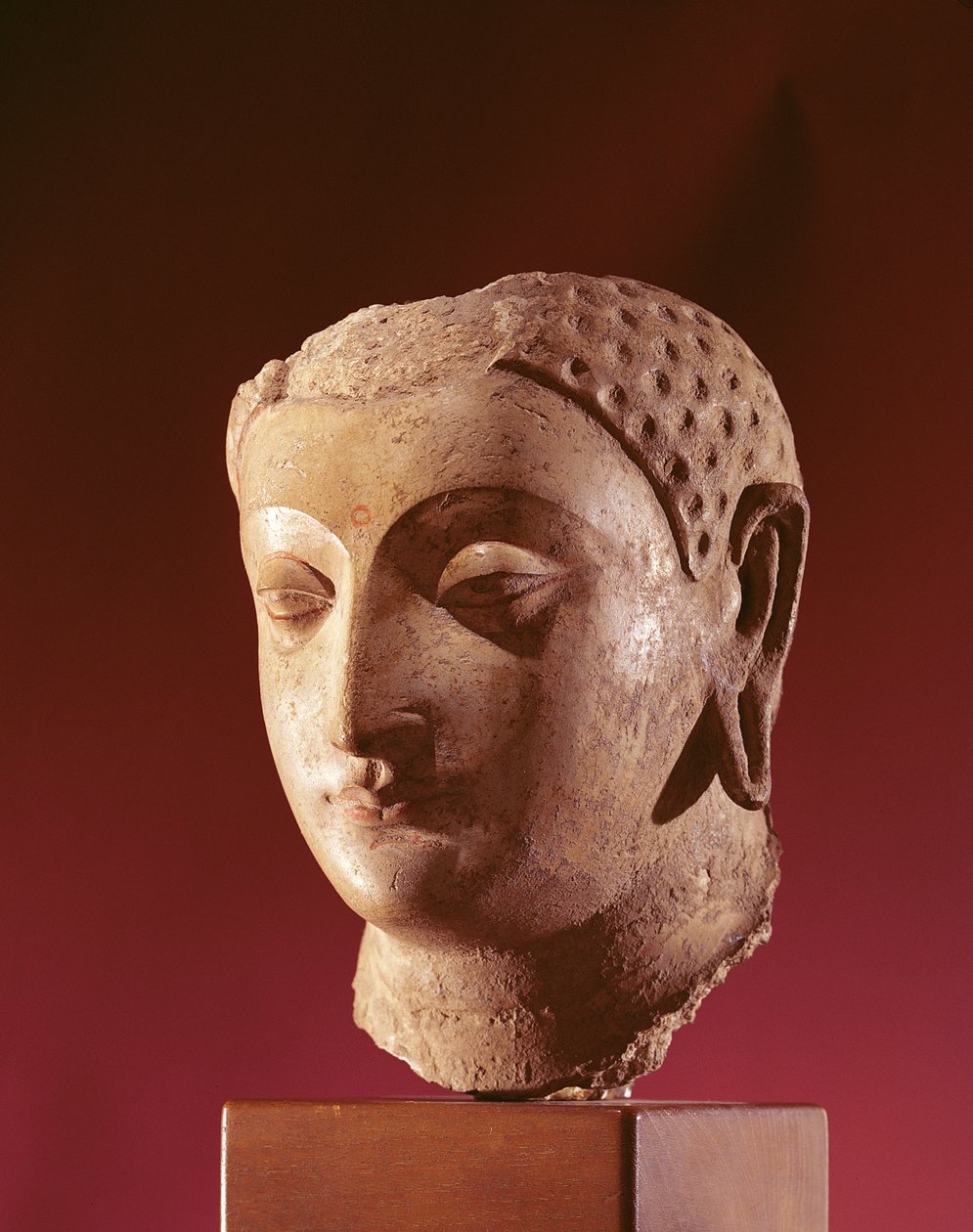 Kopf des Buddha, ca. 5. Jahrhundert von Afghan School