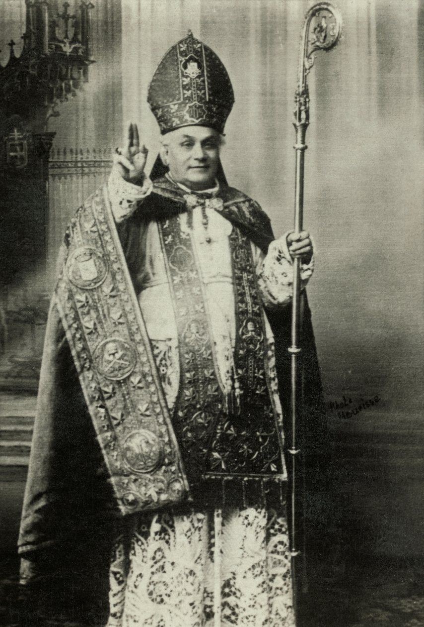 Porträt von Kardinal Louis Lucon von Agence Meurisse