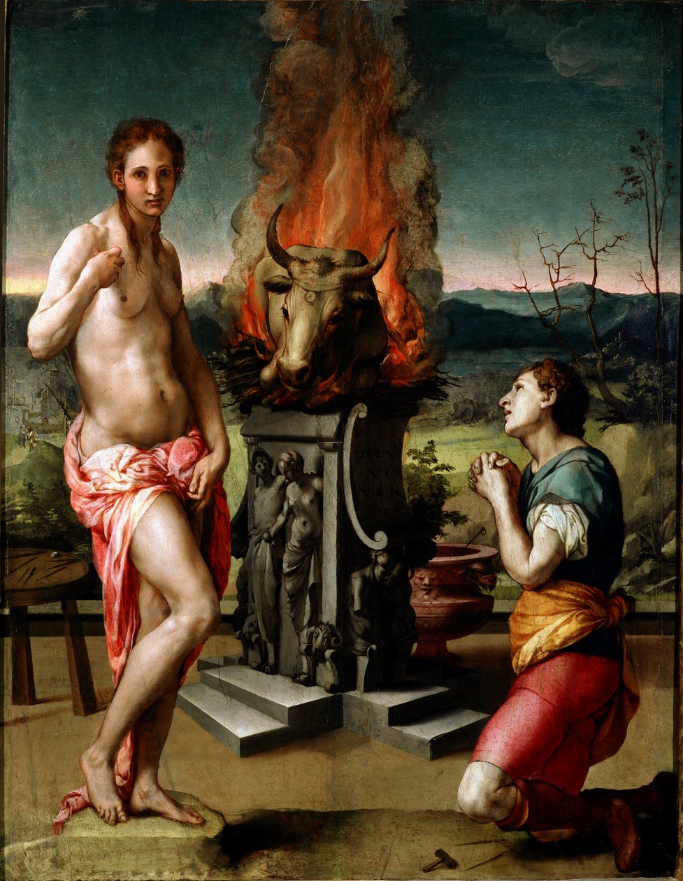 Pygmalion und Galatea von Agnolo Bronzino