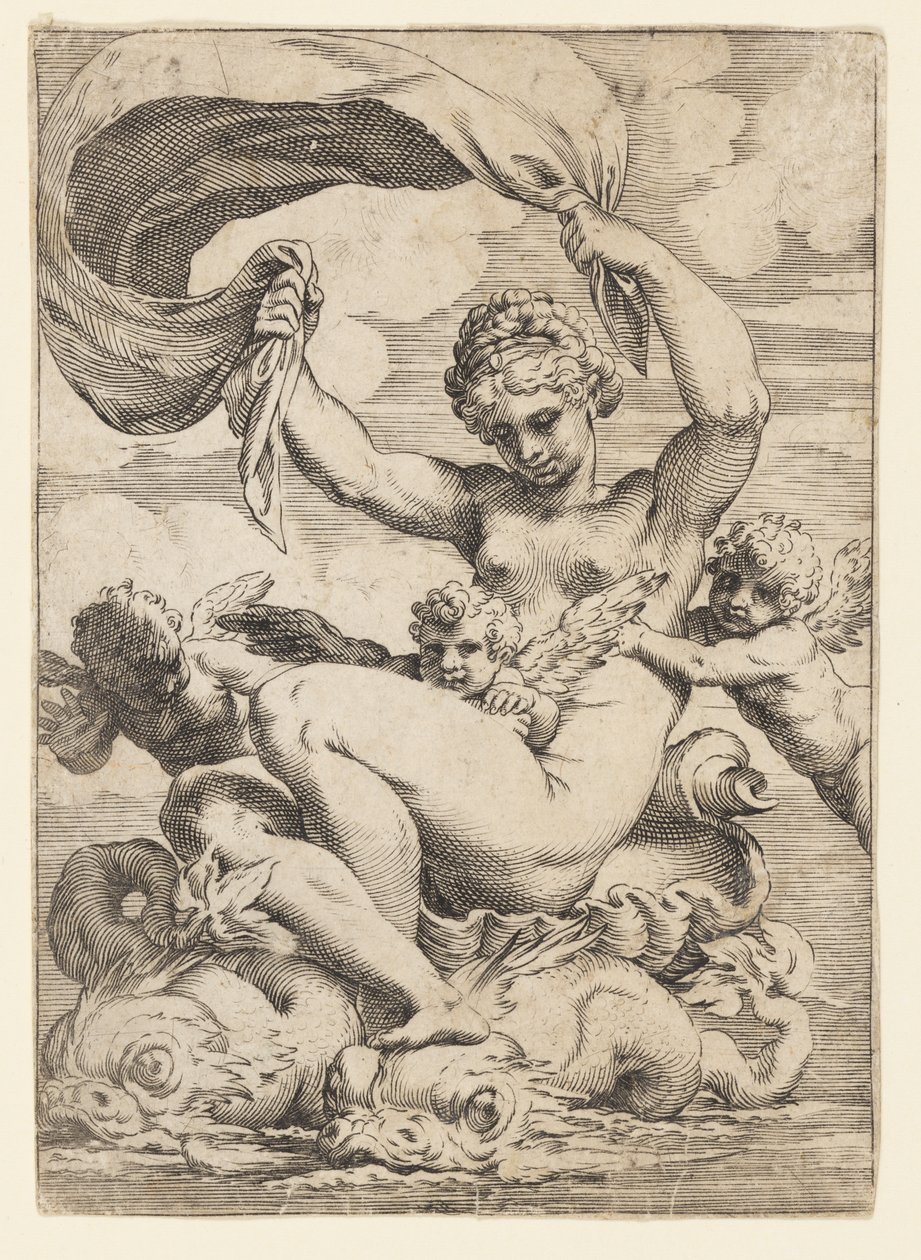 Venus (oder Galatea) und Cupidos unterstützt von Delfinen von Agostino Carracci